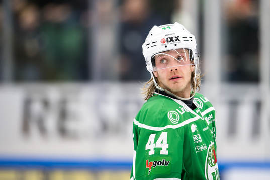 Rögles Olle Liss