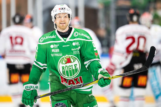 Rögles Ted Brithén