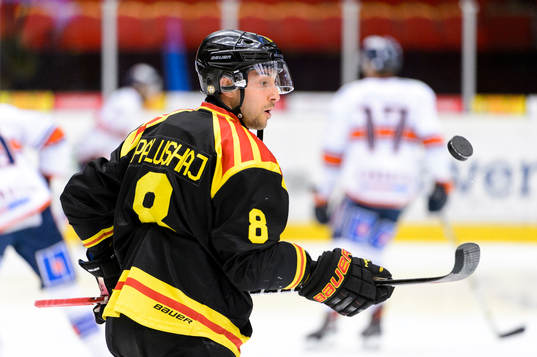 Bläddra bland fler bilder av Ishockey, SHL, Brynäs - Växjö