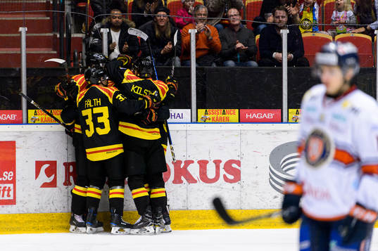 Brynäs jublar