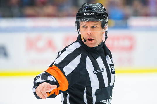 Domare Wolmer Edqvist