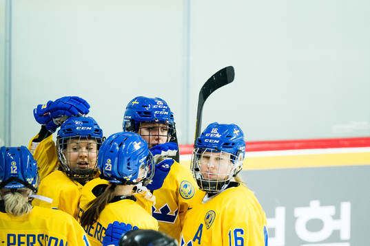 The swefish players celebrate 1-0