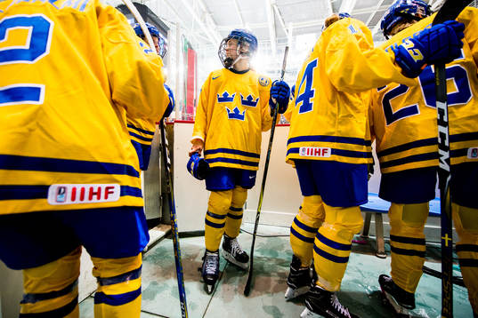 The swedish players