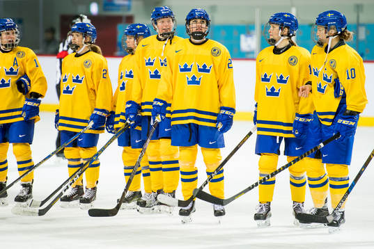 The Swedish players