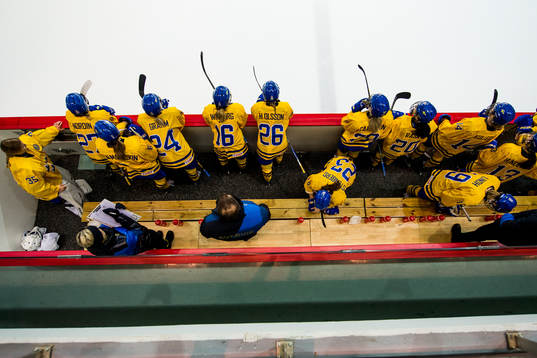 General view of the Swedish team