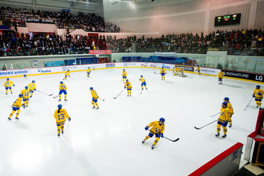 General view of the Swedish team