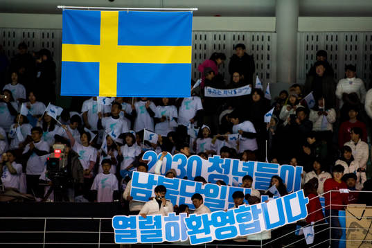 The flag of Sweden
