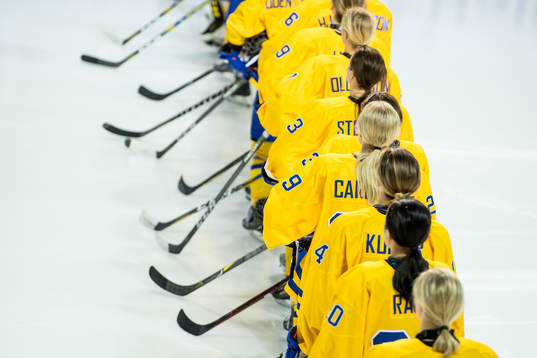 The Swedish players line up