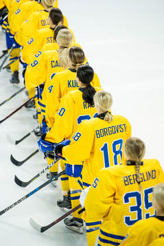 The Swedish players line up