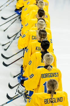 The Swedish players line up
