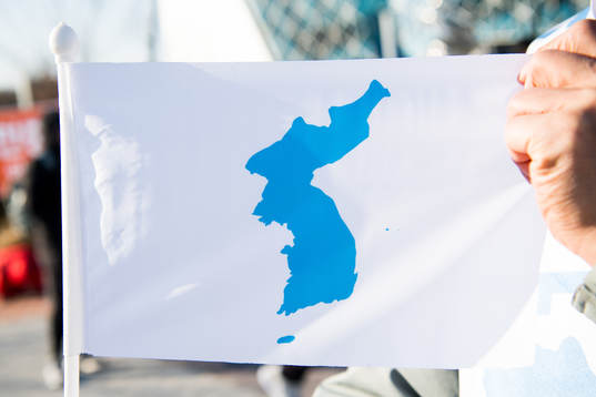 The flag of a united Korea is seen