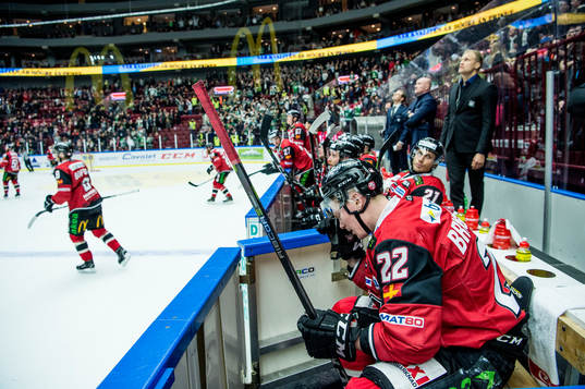 Malmö Redhawks Lars Bryggman deppar i båset