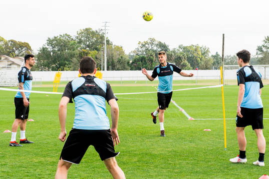 Malmö FFs Markus Rosenberg