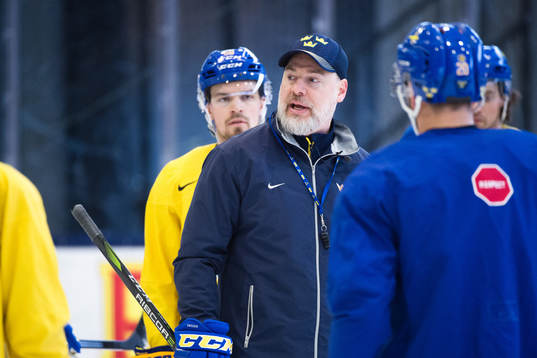 Förbundskapten Rikard Grönborg