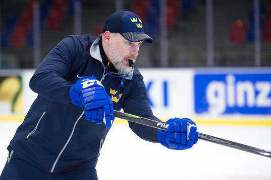 Förbundskapten Rikard Grönborg