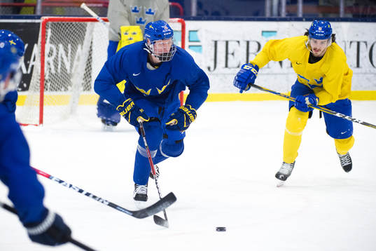 Rasmus Dahlin