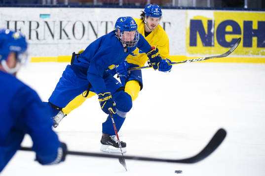 Rasmus Dahlin