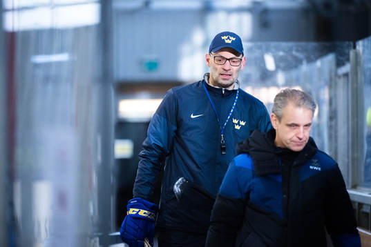 Sveriges assisterande förbundskapten Peter Popovic