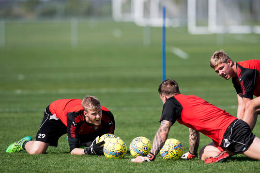 Malmö FFs målvakt Fredrik Andersson, målvakt Johan