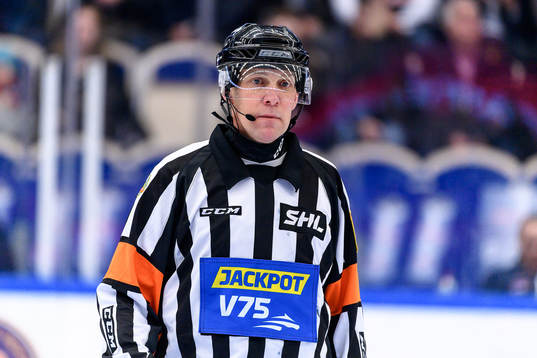 Domare Morgan Johansson