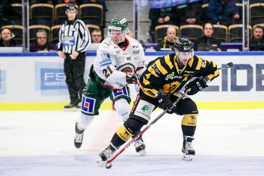 Skellefteås Bud Holloway