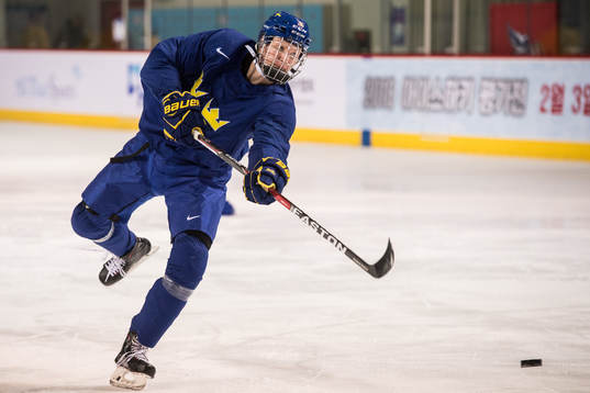 Rasmus Dahlin of Sweden