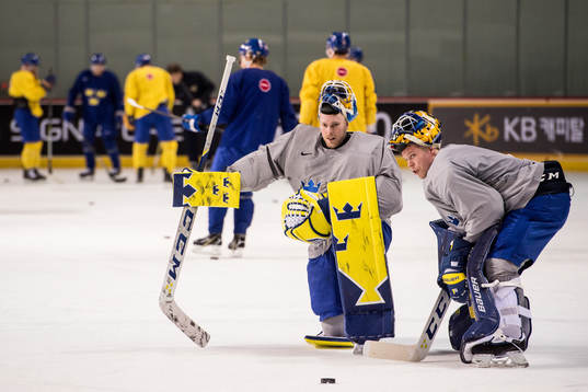 Magnus Hellberg and Viktor Fasth goalkeepers of Sweden