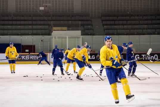 Players of Sweden