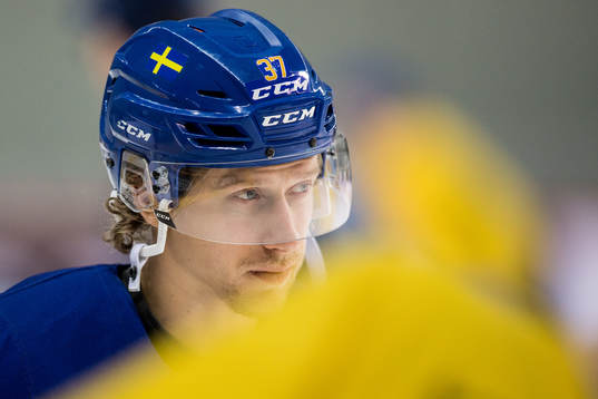 John Norman of Sweden