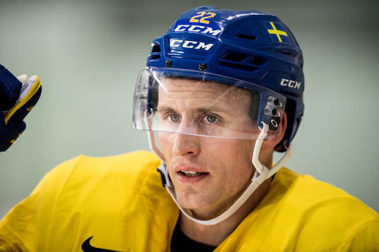Alexander Bergström of Sweden