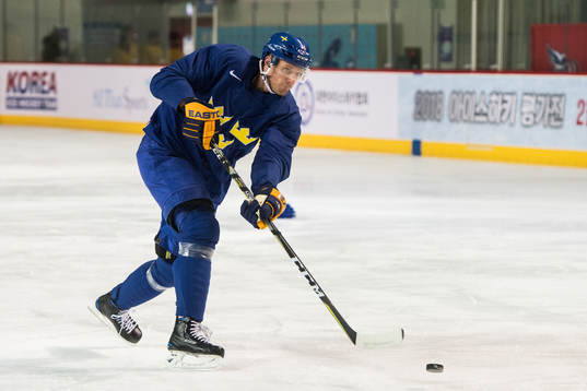 Staffan Kronwall of Sweden