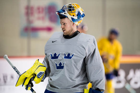 Magnus Hellberg goalkeeper of Sweden