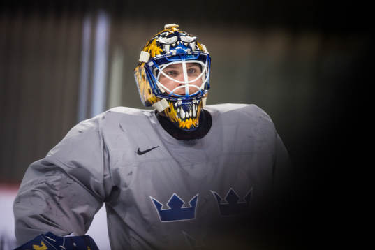 Viktor Fasth goalkeeper of Sweden