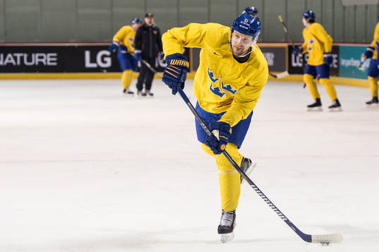 Jonas Ahnelöv of Sweden