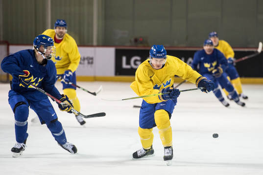 Rasmus Dahlin and Patrik Zackrisson of Sweden