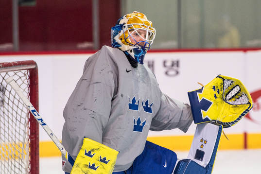 Magnus Hellberg goalkeeper of Sweden
