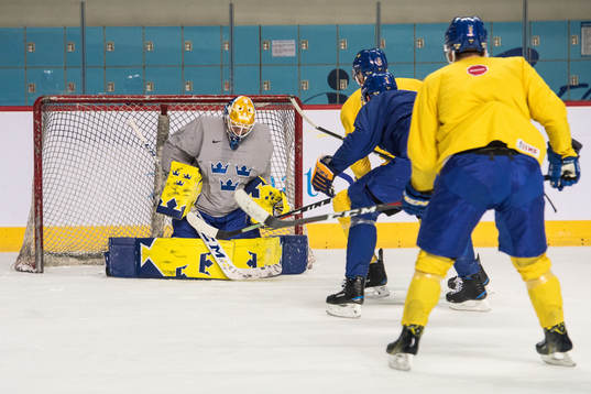 Magnus Hellberg goalkeeper of Sweden