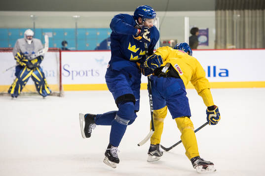 Staffan Kronwall and Alexander Bergström of Sweden