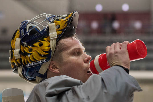 Viktor Fasth goalkeeper of Sweden