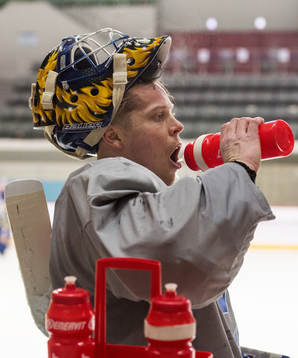 Viktor Fasth goalkeeper of Sweden