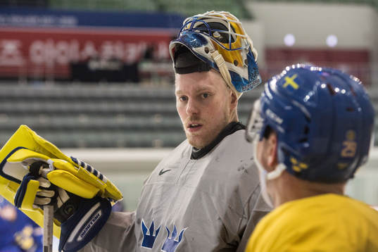 Magnus Hellberg goalkeeper of Sweden