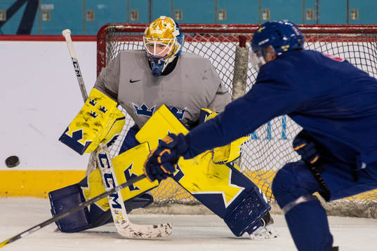 Magnus Hellberg goalkeeper of Sweden