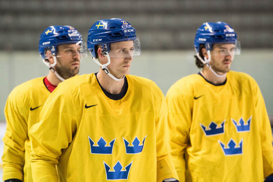 Alexander Bergström of Sweden