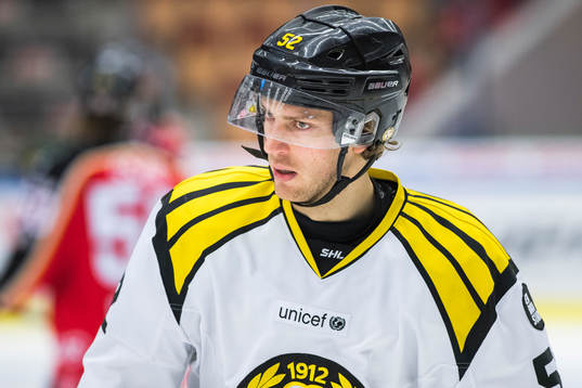 Brynäs Christopher Liljewall deppar