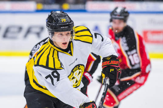 Brynäs Daniel Mannberg
