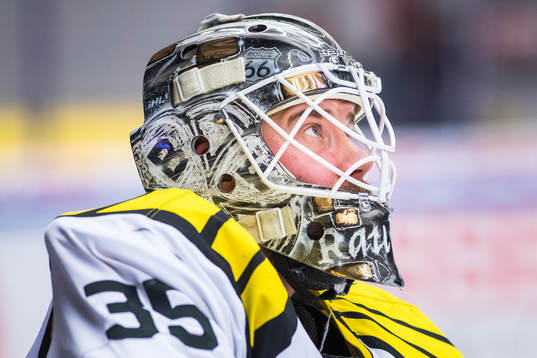 Brynäs målvakt David Rautio