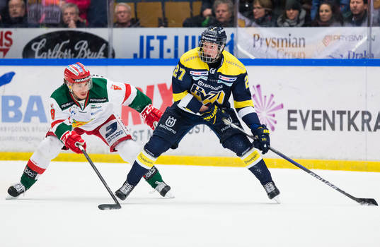 s David Gustafsson