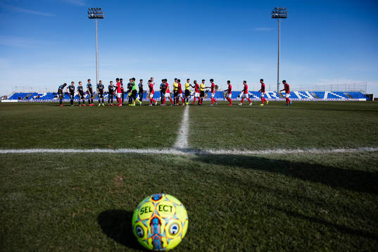 Lagen hälsar på varandra innan en träningsmatch i