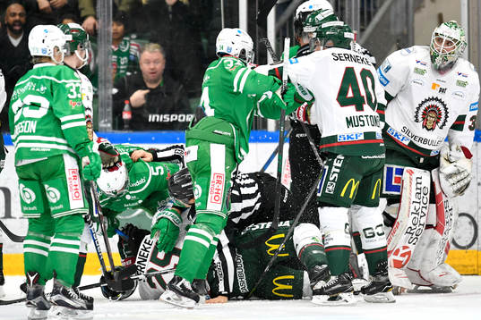 Fajt mellan Rögles Alen Bibic samt Edwin Hedberg och Adam