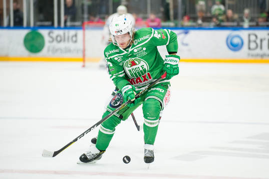 Rögles Olle Liss